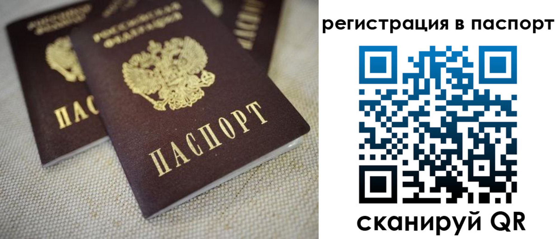 прописка гарантия в Гвардейске